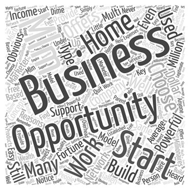 Business Opportunity
